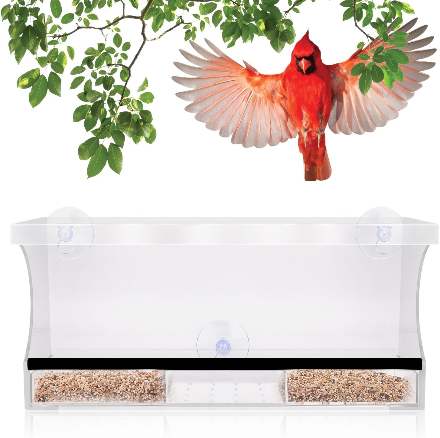 Zeemplify Premium Window Bird Feeder Extra Large Crystal Clear Acrylic with Removable Tray Bonus Personalization Stickers to Make It Unique and Fun for Kids and Cats