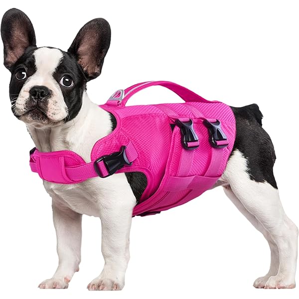 KUOSER DOG LIFE JACKET, XXL DOG LIFE VEST...