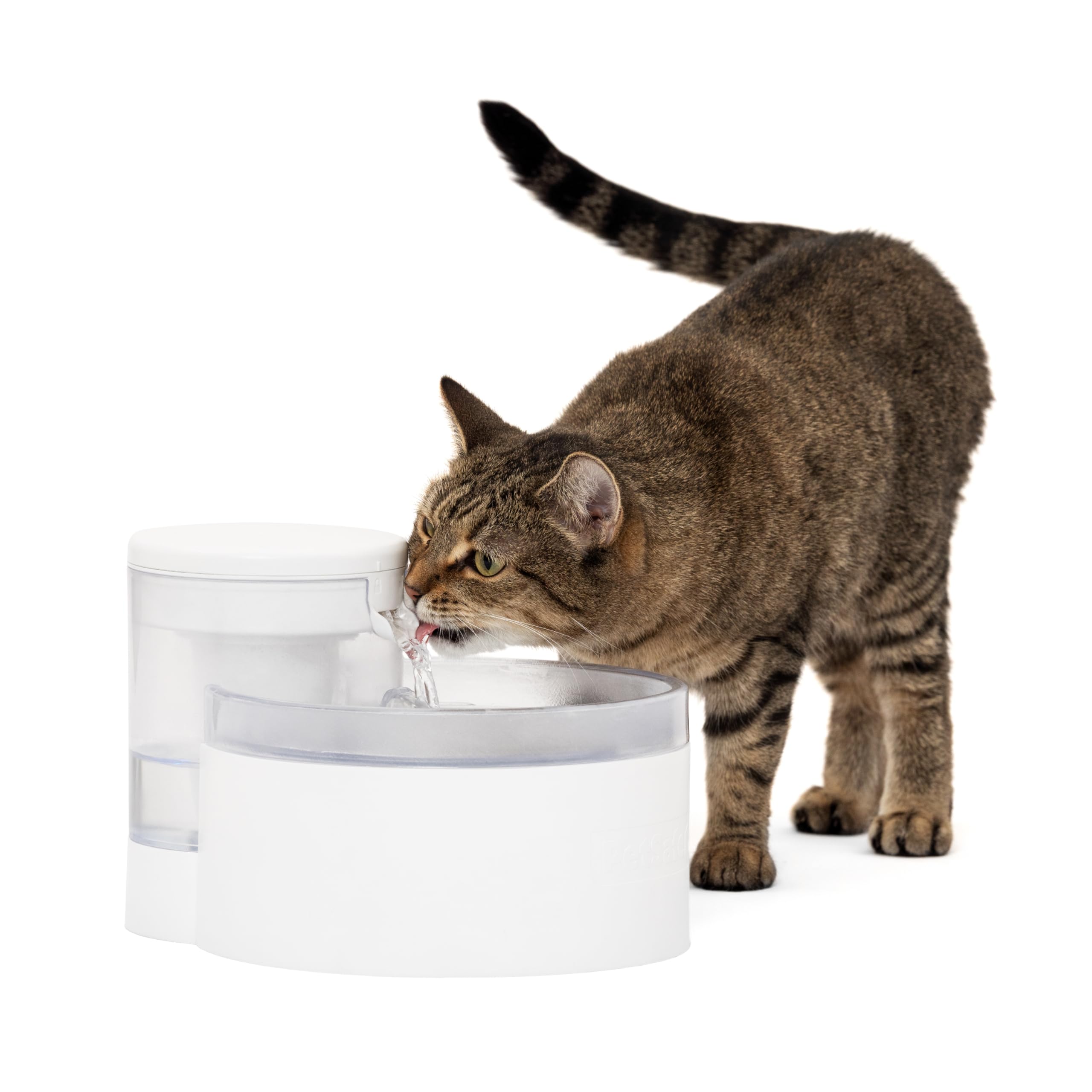 PetSafe Outlast Pumpless Water Fountain, 1.7 L, Small Dog and Cat Water Fountain, Dishwasher Safe, Easy Assembly and Cleaning, 1 Filter Included in the box