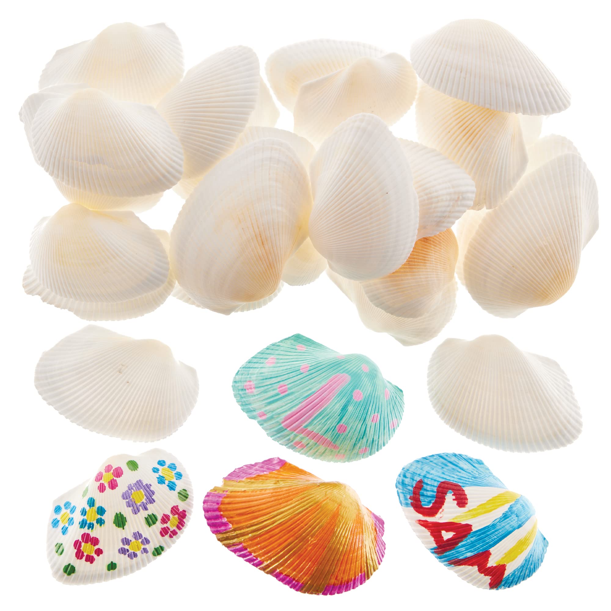 Baker Ross FX741 Natural Seaside Beach Scalloped Shells for Painting, Arts & Crafts, & Home DIY Decoration, 60mm, White, Pack of 30, Pieces