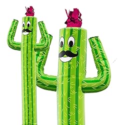 LookOurWay Air Dancers Wacky Waving Inflatable Tube