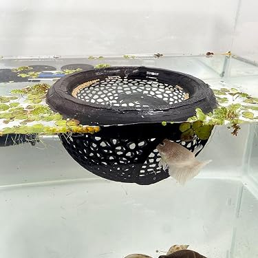 Amazon Best Sellers: Best Aquarium Décor