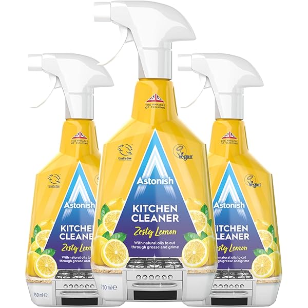Amazon.com: Astonish Streak Free Foaming Bathroom Cleaner Spray