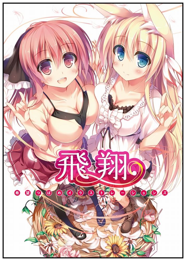 Nozomi Tsubame Illustrations Hisho Tsubame Nozomi Amazon Com Books