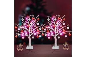 ILLUMINEW Valentines Day Table Decor, 2 Pack Lighted Artificial Birch Tree for Tabletop, 24 Inch LED Red Pink Lights with 48 Heart Shaped Valentines Conversation, Valentines Indoor Hanging Ornaments for Home