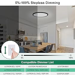 Brightever Black LED Flush Mount Ceiling Light