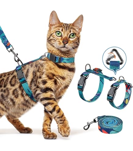 Pet Supplies : pidan Cat Harness and Leash Set, Cats Escape Proof - Adjustable Kitten Harness for Large Small Cats, Lightweight Soft Walking Travel Petsafe Harness((Multicolor-M Size) : Amazon.com