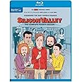 Silicon Valley: The Complete Fourth Season (Blu-ray)