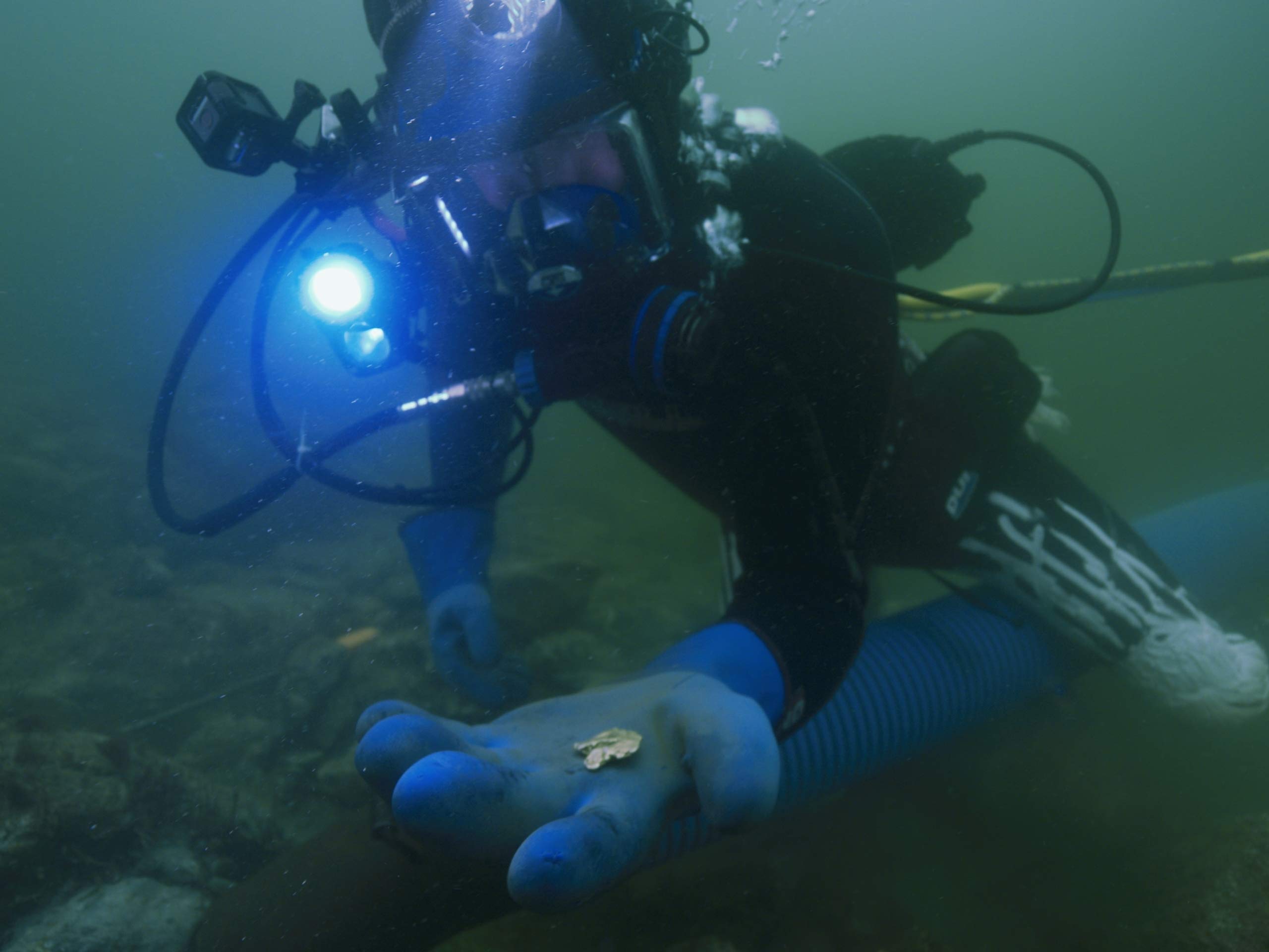 Watch Gold Divers Season 7 Prime Video