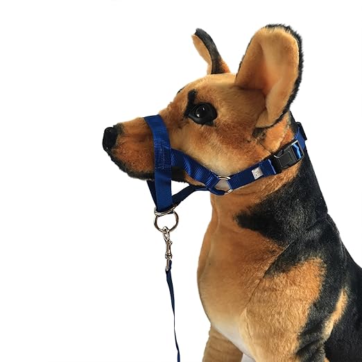 A&e collars Clearance