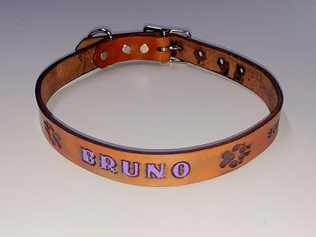 amazon dog collar with name