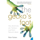 The Gecko’s Foot: How Scientists are Taking a Leaf from Nature's Book