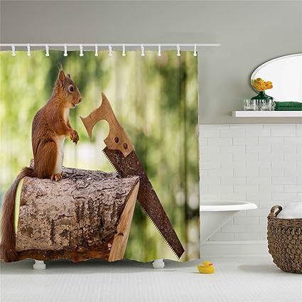 Amazon Com Wings The Bathroom Decoration The Weird Squirrel