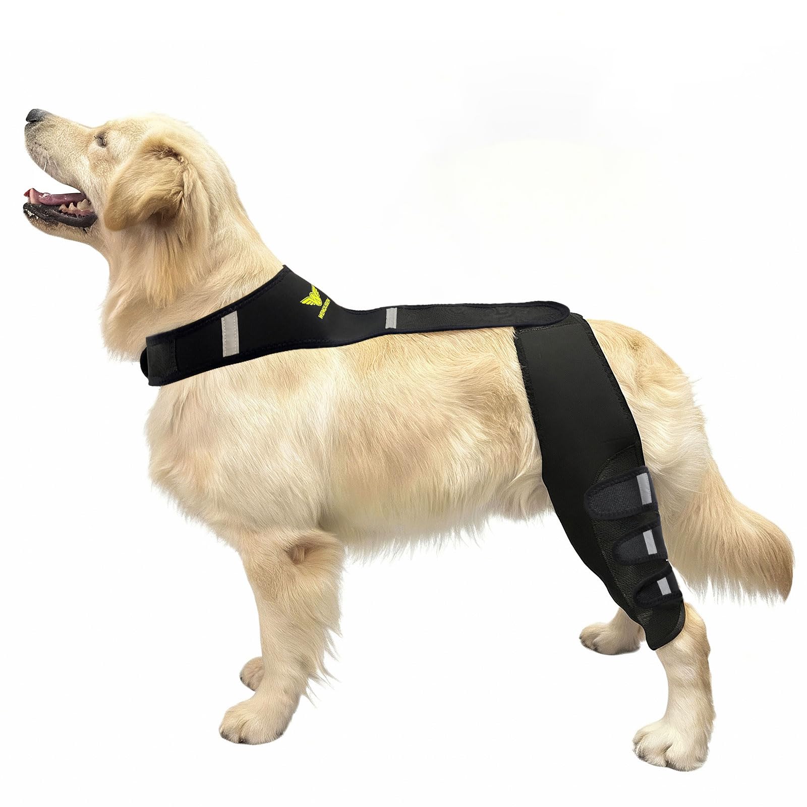 Photo 1 of WENQUSEN Dog Knee Brace for Torn ACL Hind Leg - Professional Recovery Support, Patented Double Strap System & Flexible Splints Stabilize Joint, Promotes Healing & Mobility (XL) 65-110LB