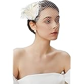 BABEYOND Veil Fascinator Hat for Women Feather Fascinators Hair Clip with Removable Veil Tea Party Hat Bridal Wedding