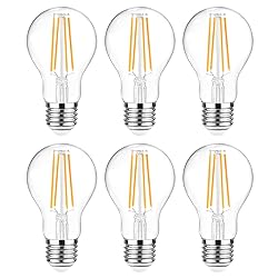 Ascher 60 Watt Equivalent, E26 LED Filament Light