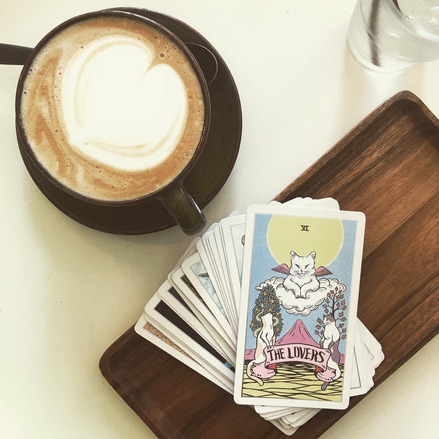 Atesswy Stray Cat Tarot - A Powerful and Cute Tarot Deck for Cat Lovers, Standard Size: 4.75
