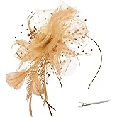 DRESHOW Fascinators Hat Flower Mesh Ribbons Feathers on a Headband and a Clip Tea Party Headwear for Girls and Women