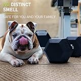 PhysKcal Poly Hex Dumbbells 22.5kg Single No Odour Home Gym Set view 5