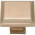 Atlas Homewares 289-CM Sutton Place Square Knob, Champagne