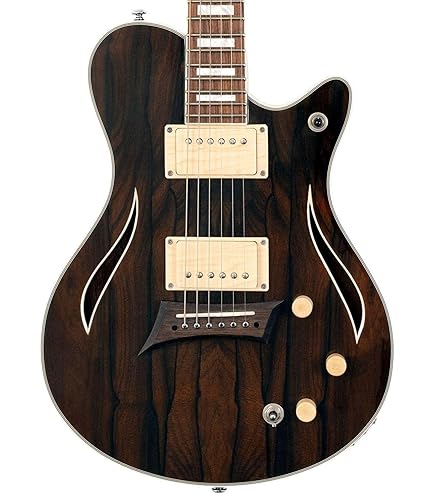 Amazon.com: Michael Kelly 59 Thinline Semi-Hollow Electric Guitar