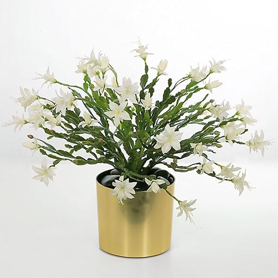 Pack of 6 Winter Snowy White Artificial Christmas Cactus
