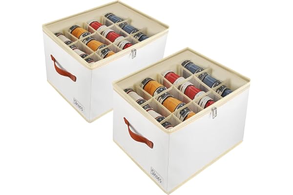 Patinao 2 Pack Shoe Storage Box Organizer for Closet - 24 Cell Space Saver Shoes Containers Bin with Clear Lids Stackable, Ca