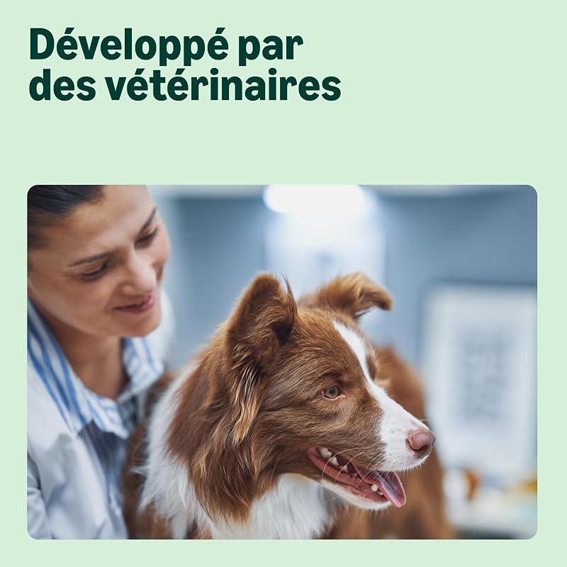 Nourriture sèche Premium pour Chien Adulte Grand Poulet 3 kg 1 Paquet