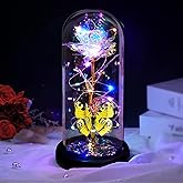 Valentines Day Rose Glass Flowers Gifts for Her, Galaxy Crystal Light Up Rose in A Glass Dome, Valentines Day Gifts for Mom Wife, Valentine Birthday Gifts for Women