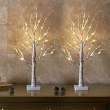 Eambrite Set of 2 Small Birch Twig Tree Lights 60cm Battery Operated