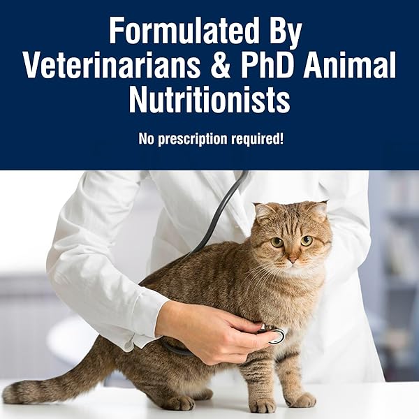 BLUE BUFFALO TRUE SOLUTIONS DIGESTIVE CARE NATURAL DRY CAT FOOD FOR ADULT CATS, CHICKEN, 11-LB. BAG