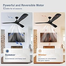 BvenuBigLite Black Ceiling Fan for Indoor: 3 Blades