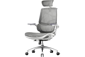 SIHOO M59AS Ergonomic Office Chair, Desk Chair with 3D Flip-up Armrests, Computer Chair with Dual Back Design and Adaptive Dy