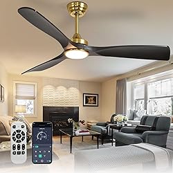 BvenuBigLite Ceiling Fan with Light Modern: 52 Inch