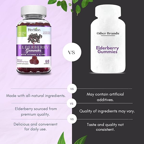 HERBION ELDERBERRY GUMMIES WITH VITAMIN C & ZINC – HEALTHY IMMUNE SYSTEM SUPPORT – GLUTEN-FREE & GELATIN-FREE – 60 GUMMIES FOR ADULTS & CHILDREN 4 YEARS & ABOVE – MADE IN USA, 60 COUNT (PACK OF 1)