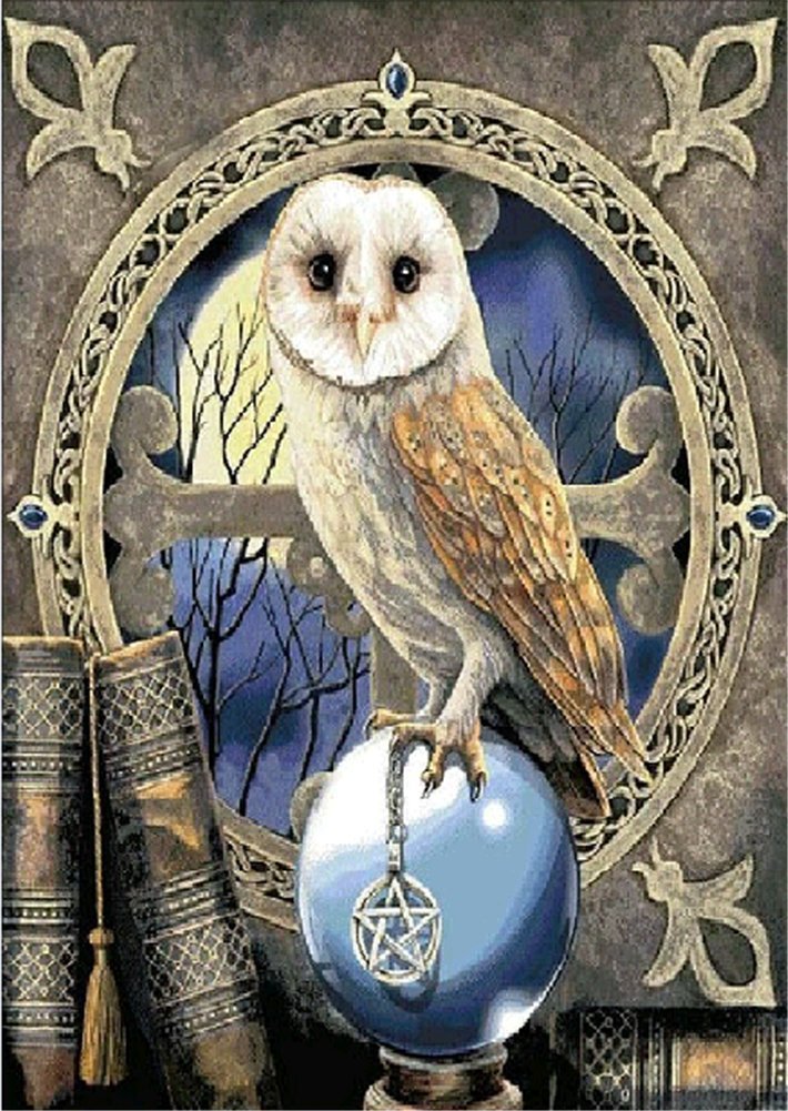 YEESAM ART 5D Diamond Painting Kits - Owl Bird Magic Crystal Ball 30x40 cm - DIY Crystals Diamond Rhinestone Painting Pasted Paint by Number Kits Cross Stitch Embroidery
