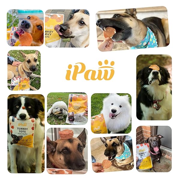 IPAW SOFT CAT TREATS FOR INDOOR CATS, HEALTHY KITTEN SNACKS WITH PROBIOTICS, GRAIN FREE, EASY TO DIGEST (CHICKEN AND CRANBERRY)