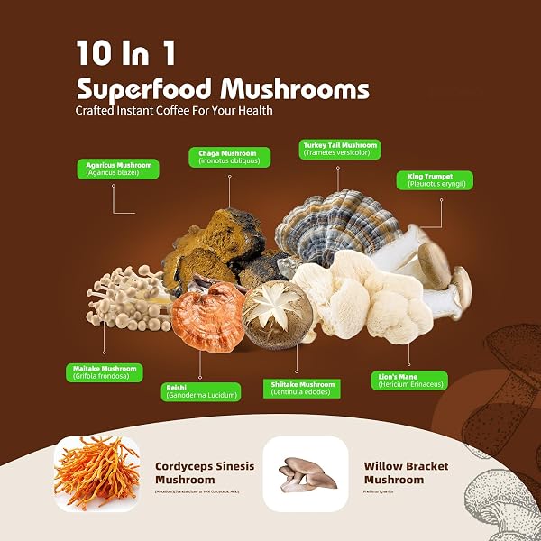 MUSHROOM COFFEE – LIONS MANE MUSHROOM POWDER INSTANT COFFEE WITH LION’S MANE, REISHI, CHAGA, CORDYCEPS, AND TURKEY TAIL – MUSHROOM COFFEE ALTERNATIVE FOR ENERGY, MENTAL CLARITY & FOCUS, BRAIN BOOSTER