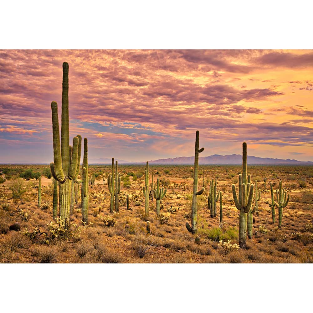 Aoihrraan 2,2x1,5m Desert Cactus Backdrop Huge Green Saguaro Plants Desolate Mountains Wilderness Sunset Nature Landscape Photography Background Travel Holiday Outdoor Cowboy Party Photo Studio Prop