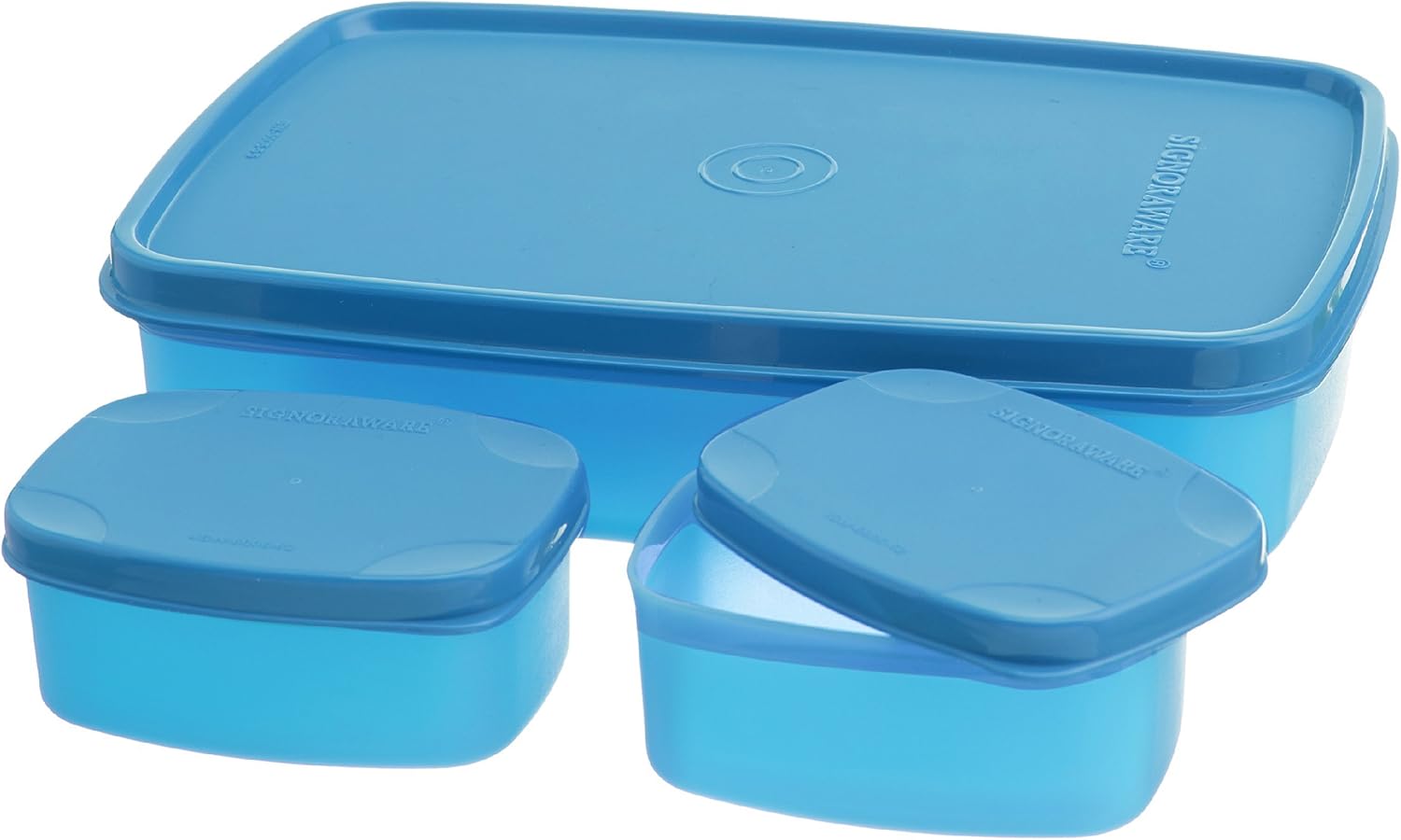 signoraware kids lunch box small