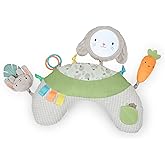 Ingenuity Cozy Prop Sylvi Tummy Time Pillow, Multi-Sensory, 4 Removable Toys, 0+M - Plush Bunny