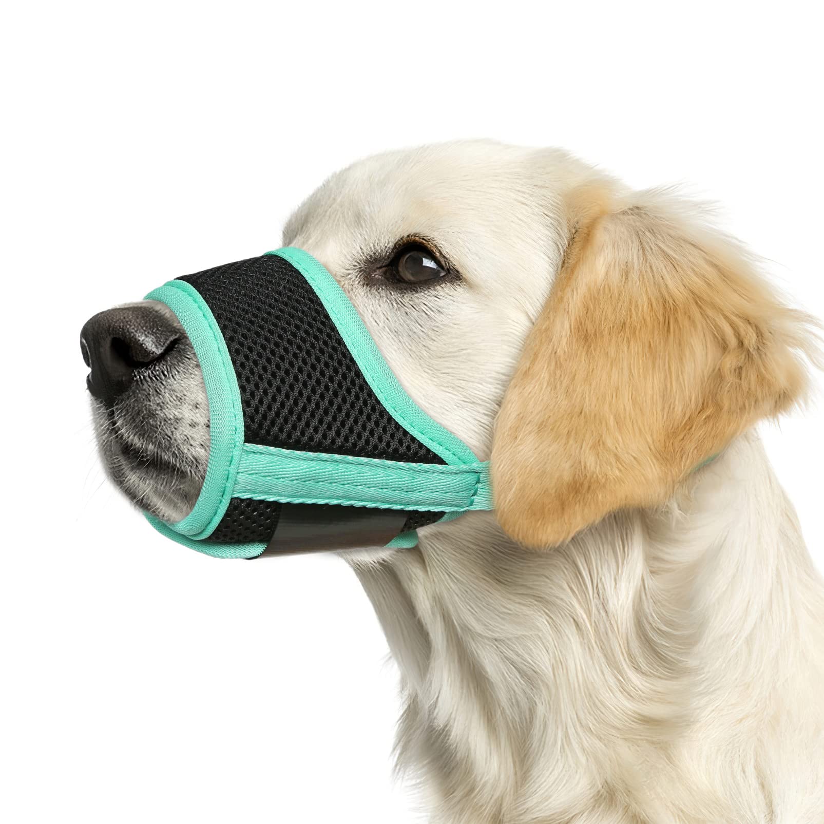 Photo 1 of HEELE Dog Muzzle,Soft Nylon Muzzle Anti Biting Barking Chewing,Air Mesh Breathable Drinkable Adjustable Loop Pets Muzzle for Small Medium Large Dogs 4 Colors 4 Sizes (New Green, S)