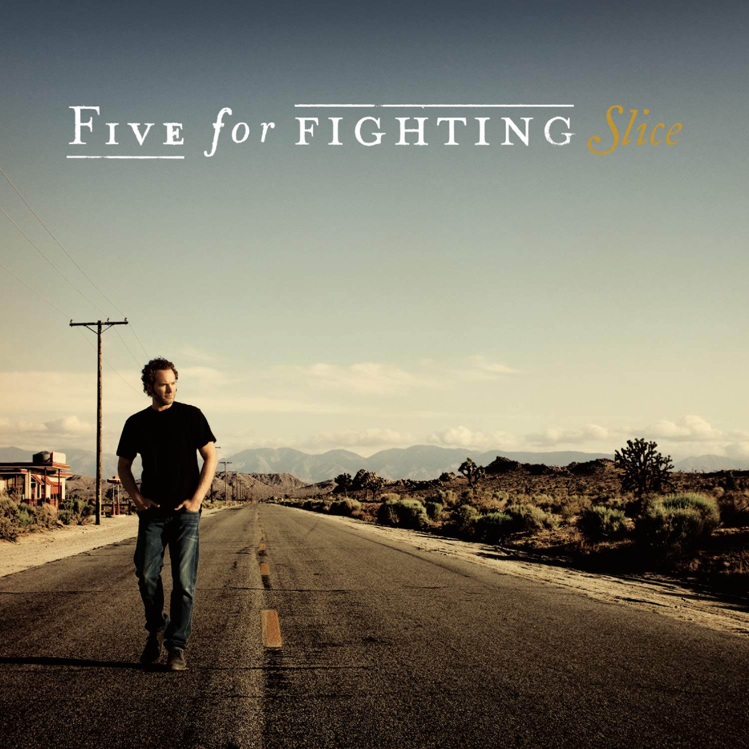 Five for Fighting Slice Music