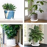 TStarJungle 5 Pack Plant Saucers 30cm Thick Drip Trays Indoor Outdoor view 6