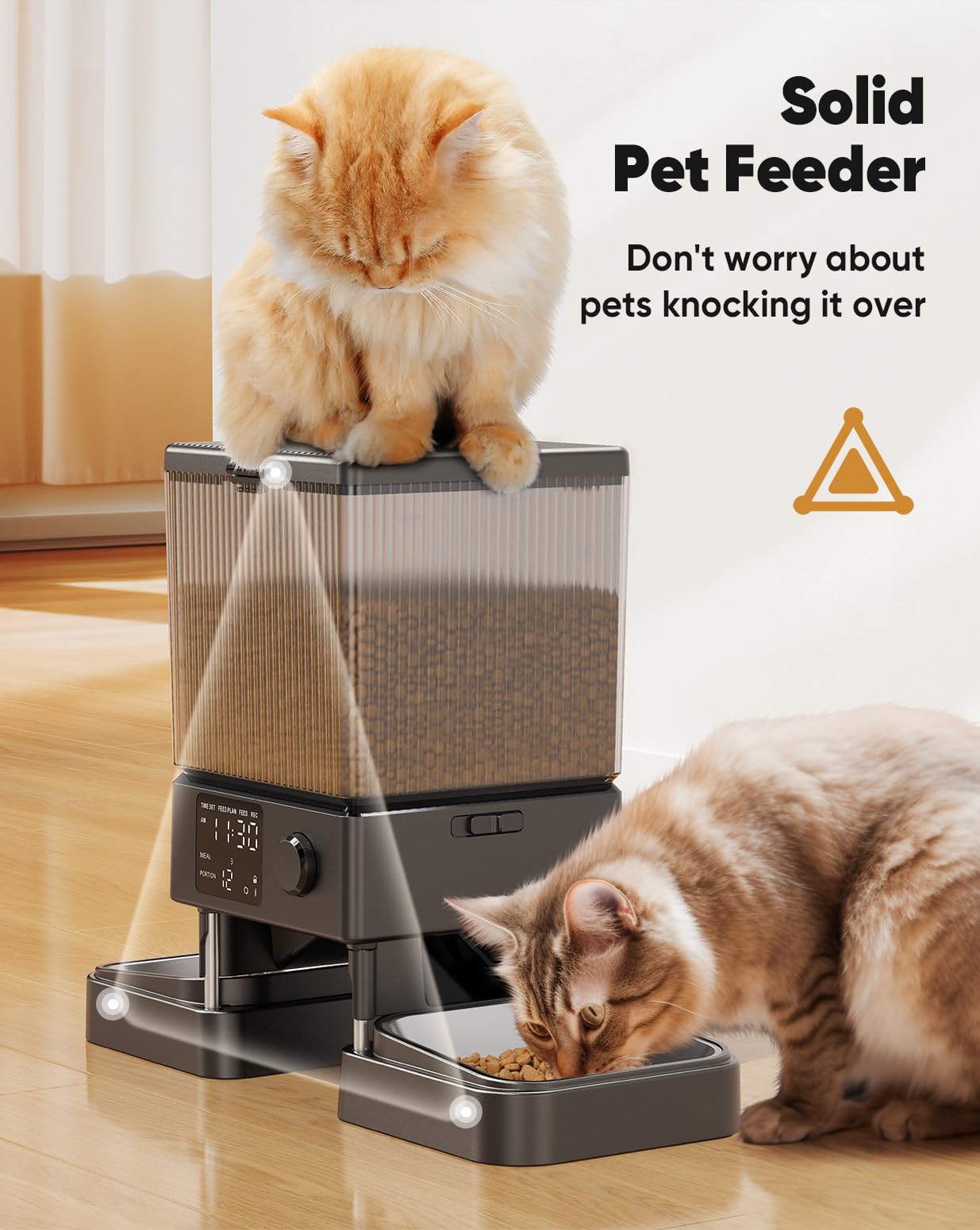 Automatic Cat Feeder