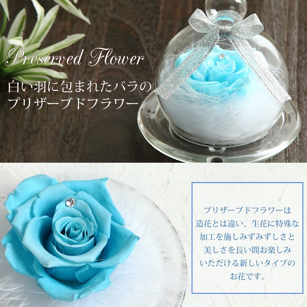Amazon ティートサイト プリザーブドフラワー フラワーアレンジ ラッピング済み バラ スワロフスキー 羽根 スカイブルー プリザーブドフラワー オンライン通販