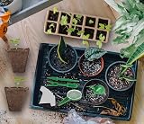 WY8 Seed Trays Starter Kit 100 Biodegradable Pots 3 Trays Crystal Lids view 4