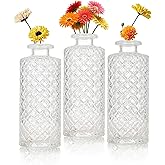Glass Bud Vase Set of 3 Pcs, Vintage Clear Small Vases for Flowers, Glass Bud Vases in Bulk, Mini Vase for Centerpieces, Wedding, Home Decor and Events