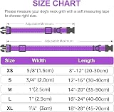 Joytale Reflective Dog Collar XS Purple, Neoprene Padded Nylon, Adjustable view 6