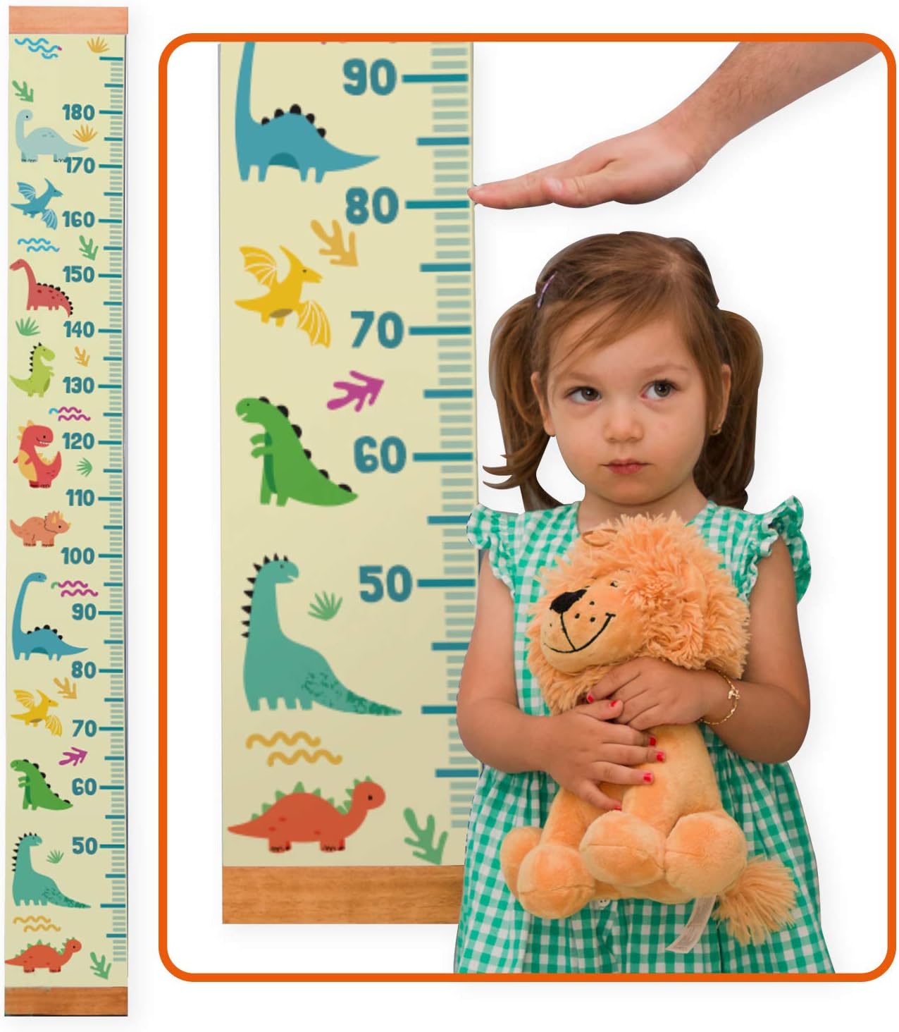 Height Chart for Kids with Correct Measures. Foldable Ruler Growth